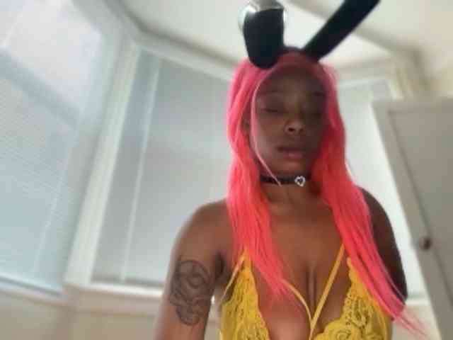 DelightfulDark webcam