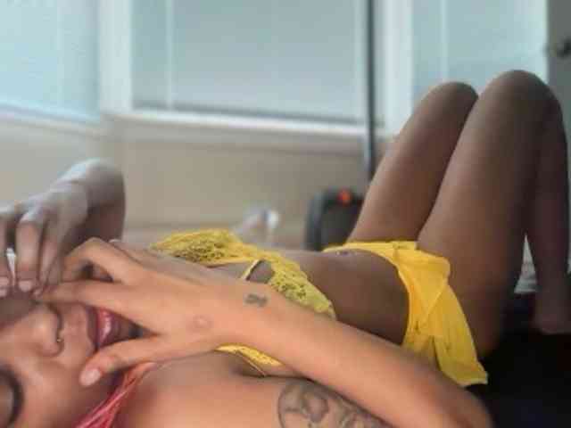 DelightfulDark webcam