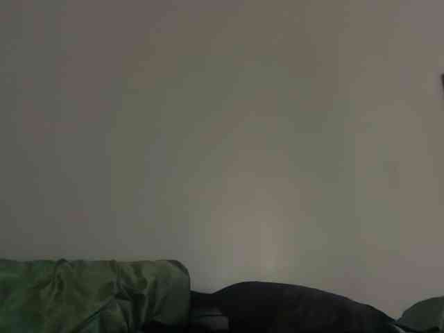 DelightfulDark webcam