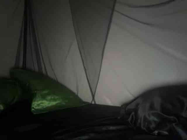 DelightfulDark webcam