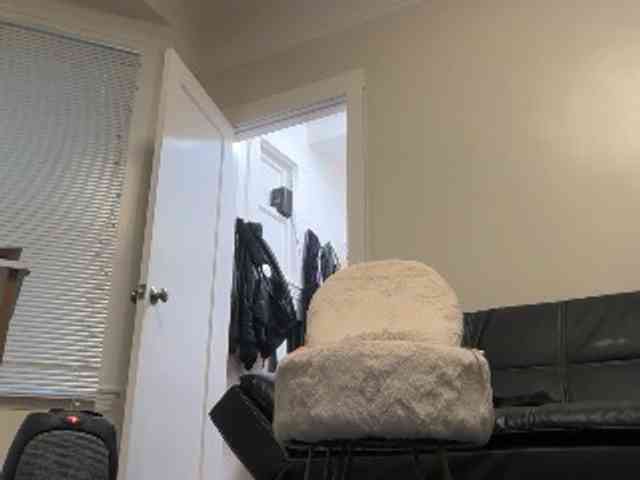 DelightfulDark webcam