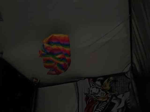 DelightfulDark webcam