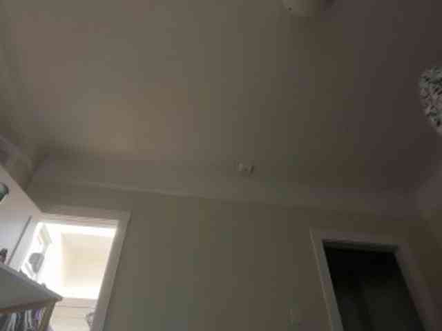 DelightfulDark webcam