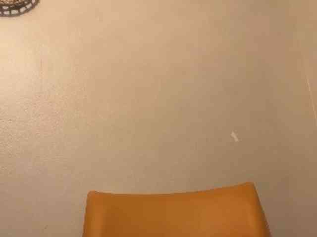 DelightfulDark webcam