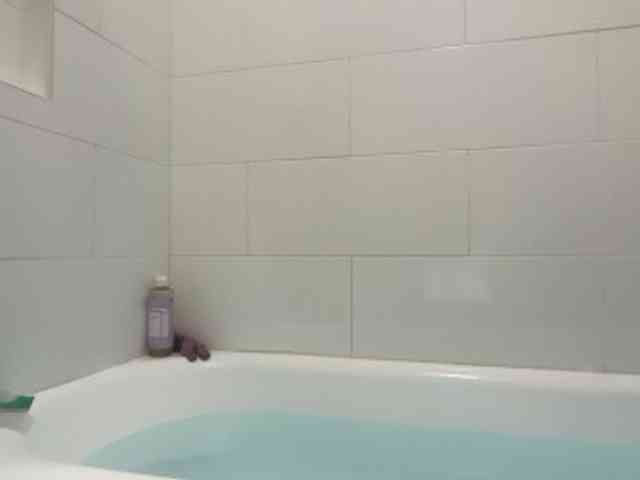 DelightfulDark webcam