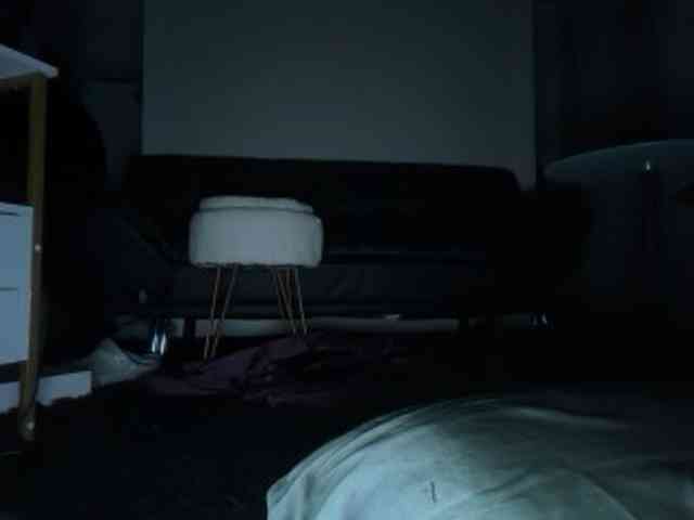 DelightfulDark webcam