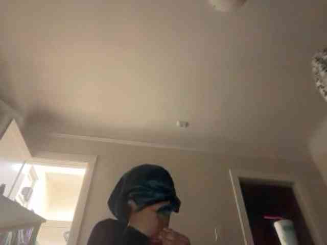 DelightfulDark webcam