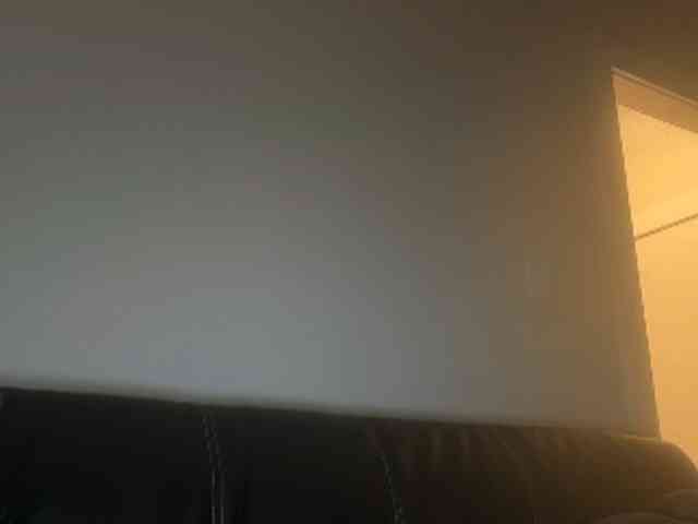 DelightfulDark webcam