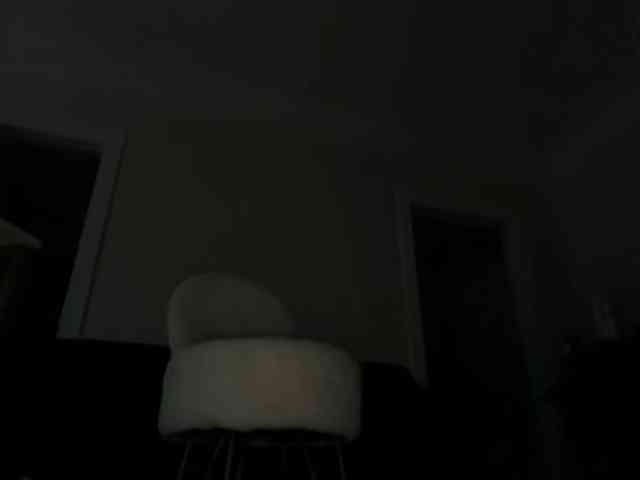 DelightfulDark webcam