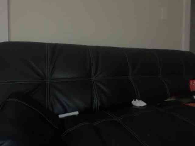 DelightfulDark webcam