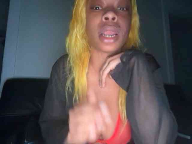 DelightfulDark webcam