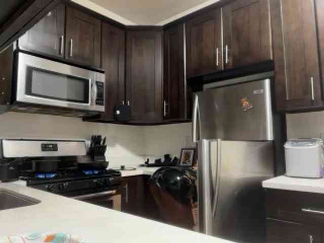 DelightfulDark webcam