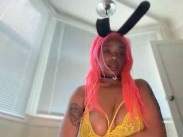 DelightfulDark webcam