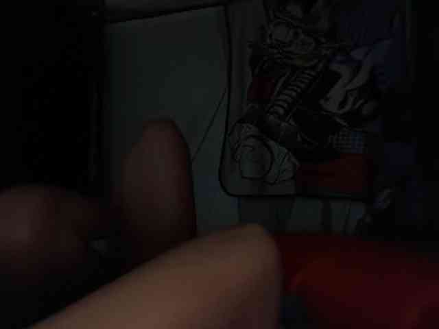 DelightfulDark webcam