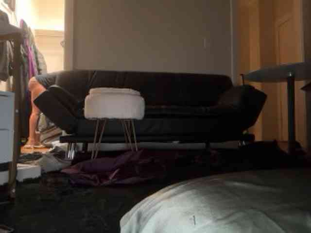 DelightfulDark webcam