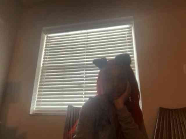 DelightfulDark webcam