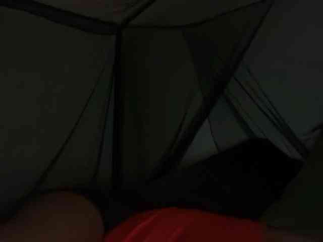 DelightfulDark webcam