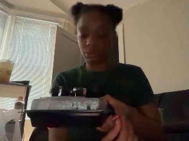 DelightfulDark webcam