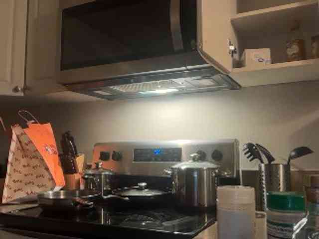 DelightfulDark webcam