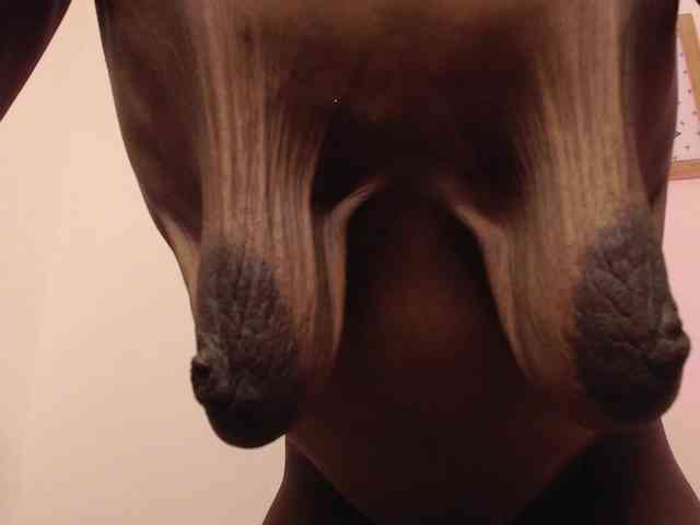 Michaelacox2 webcam