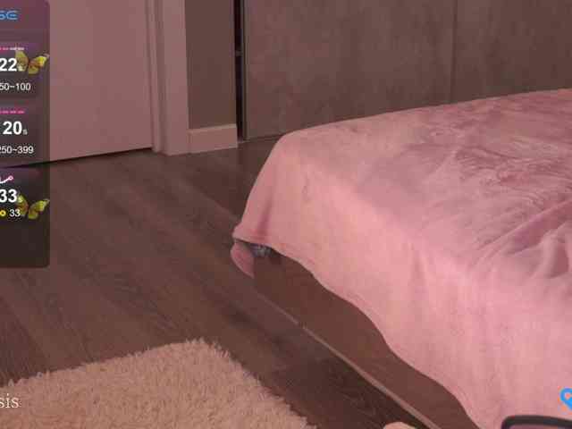 SleepySIS webcam