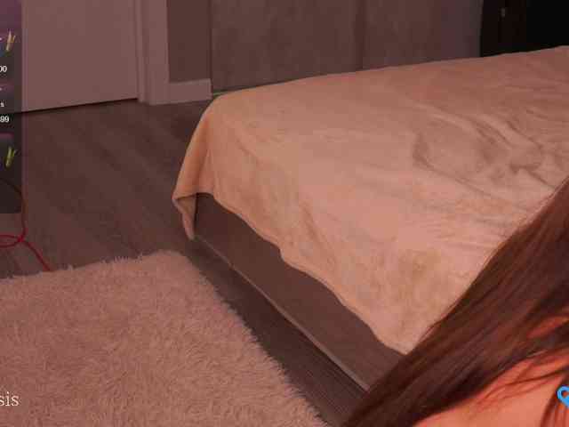 SleepySIS webcam
