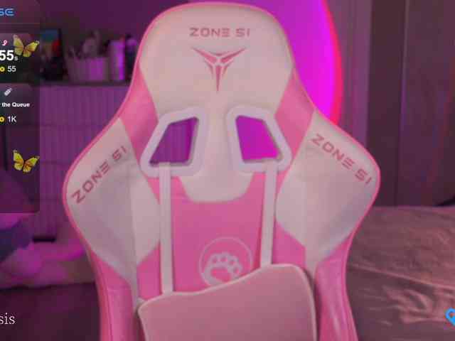 SleepySIS webcam