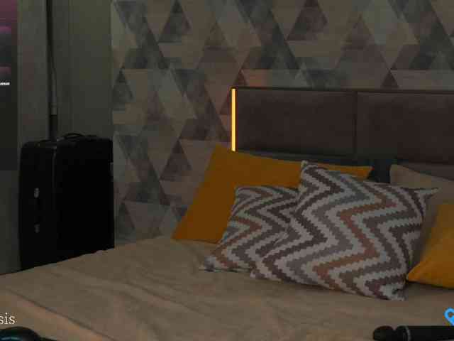 SleepySIS webcam