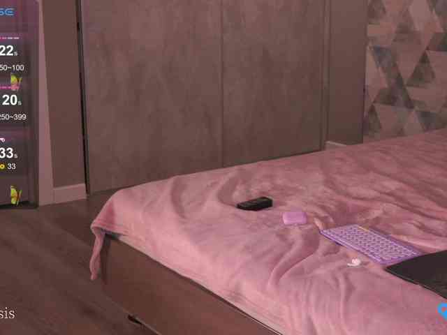 SleepySIS webcam