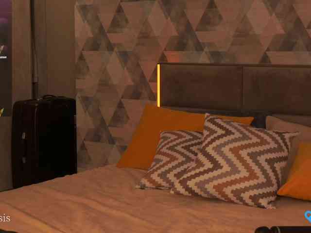 SleepySIS webcam