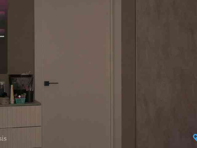 SleepySIS webcam