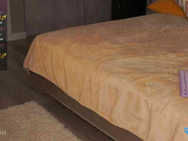 SleepySIS webcam