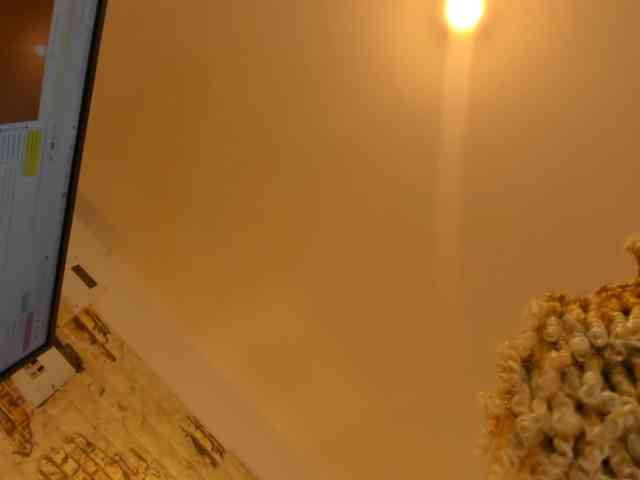 SWETTBROWN webcam