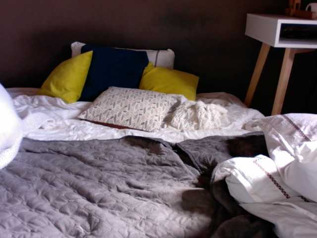 Succubus13's BongaCams show and profile