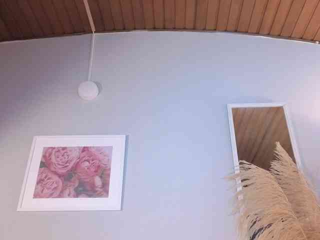 ELECKTRA-SWEET webcam