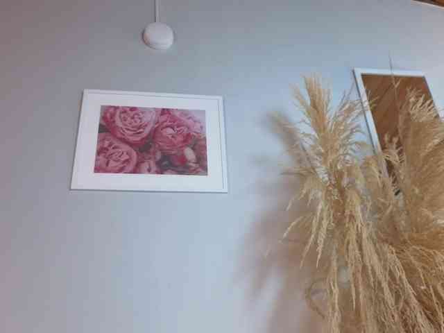 ELECKTRA-SWEET webcam