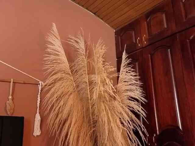 ELECKTRA-SWEET webcam