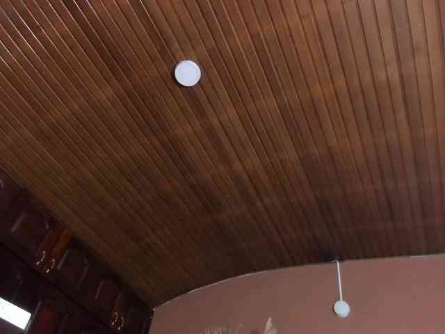 ELECKTRA-SWEET webcam