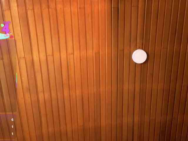 ELECKTRA-SWEET webcam