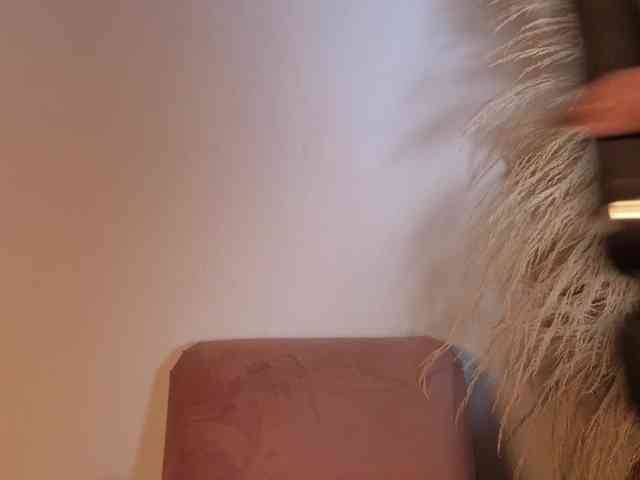 ELECKTRA-SWEET webcam