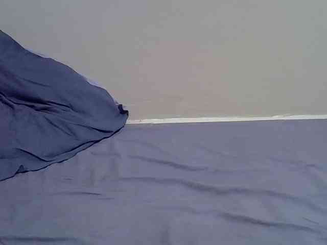 Sexydee14 webcam