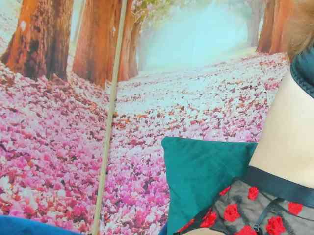 Erotic-cum webcam