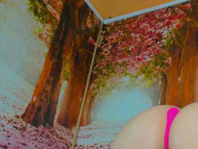 Erotic-cum webcam