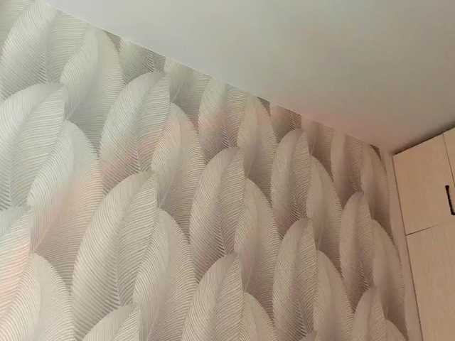 Preview of bambiiiii