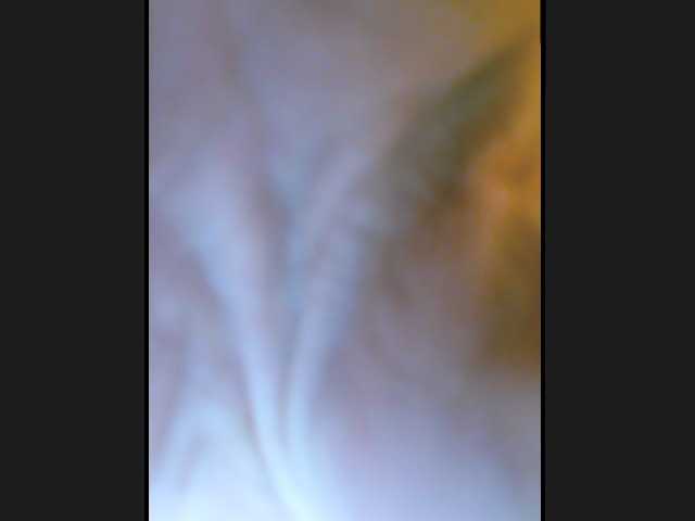 GutterSlut24 Porn