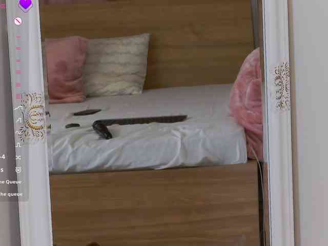 jolly-dolly webcam