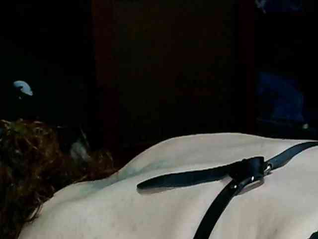 Ernest861 Live Webcam on BongaCams