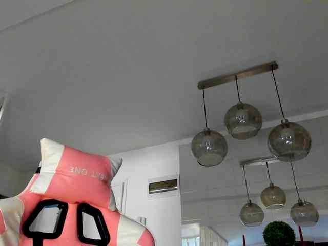ireneVON webcam