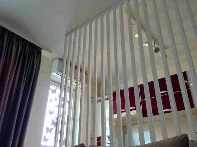 ireneVON webcam