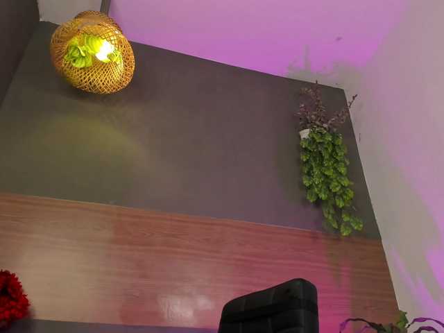 GinebraFox's BongaCams show and profile